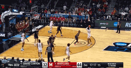 要为自己所, tRpEd, 在鹈鹕重聚 要为自己所, tRpEd, 在鹈鹕重聚