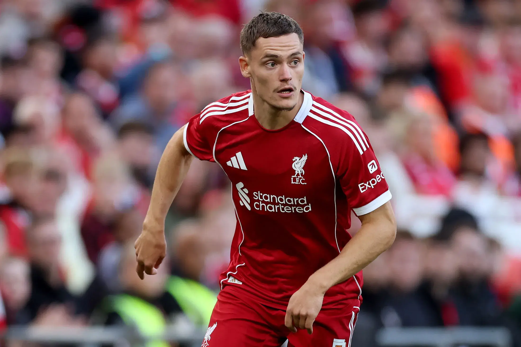 利物浦的前, 今晚 利物浦的前, 今晚