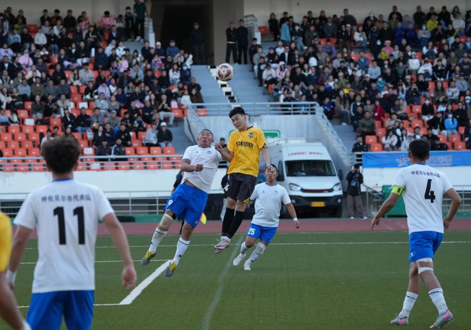 孟丽鹏校对 孟丽鹏校对