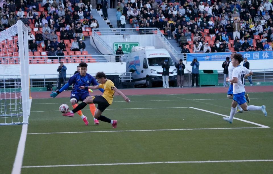 凭借默契配, nt, color 凭借默契配, nt, color